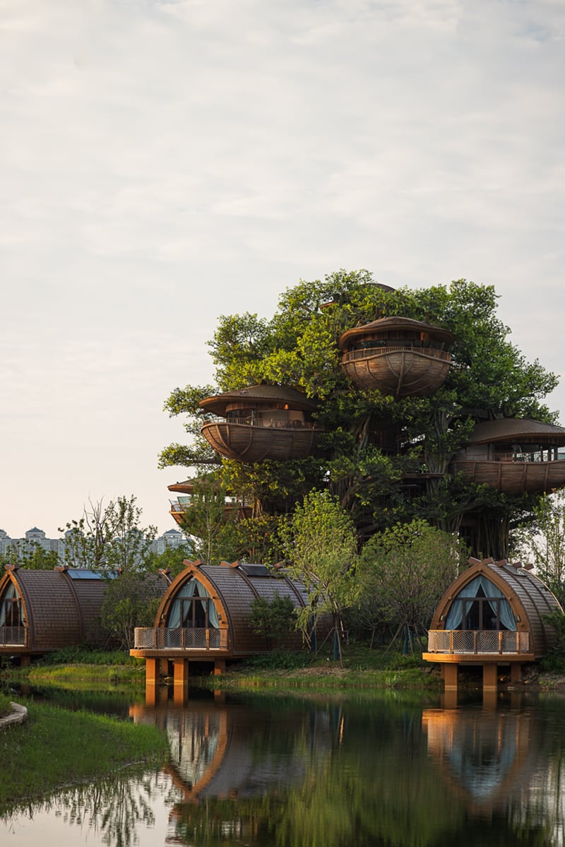 国际认可！武汉城建开元森泊度假乐园斩获2025伦敦设计奖铂金奖